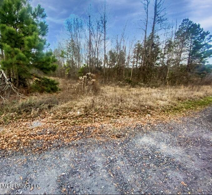 1178 Stump Ridge Road Brandon, MS 39047 - Photo 5 of 8 IMG_3105