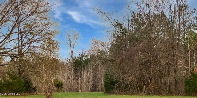 $398,990 | 1178 Stump Ridge Road, Brandon, MS 39047