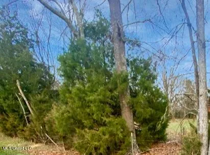 $398,990 | 1178 Stump Ridge Road, Brandon, MS 39047