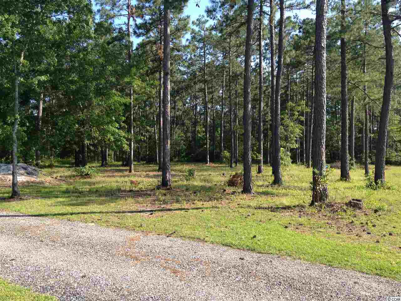 3019 Inheritance Road Conway, SC 29527 - Photo 16 of 25