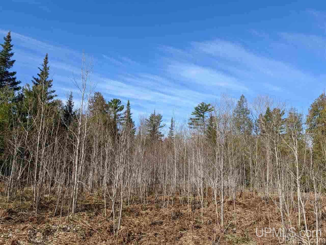 1 Little Bull Road, Unit N1/2NW1/4 Crystal Falls, MI 49920 - Photo 10 of 13