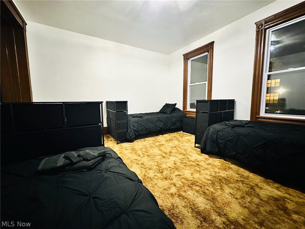 1419 East 47th Street, Unit DOWN Cleveland, OH 44103 - Photo 9 of 10