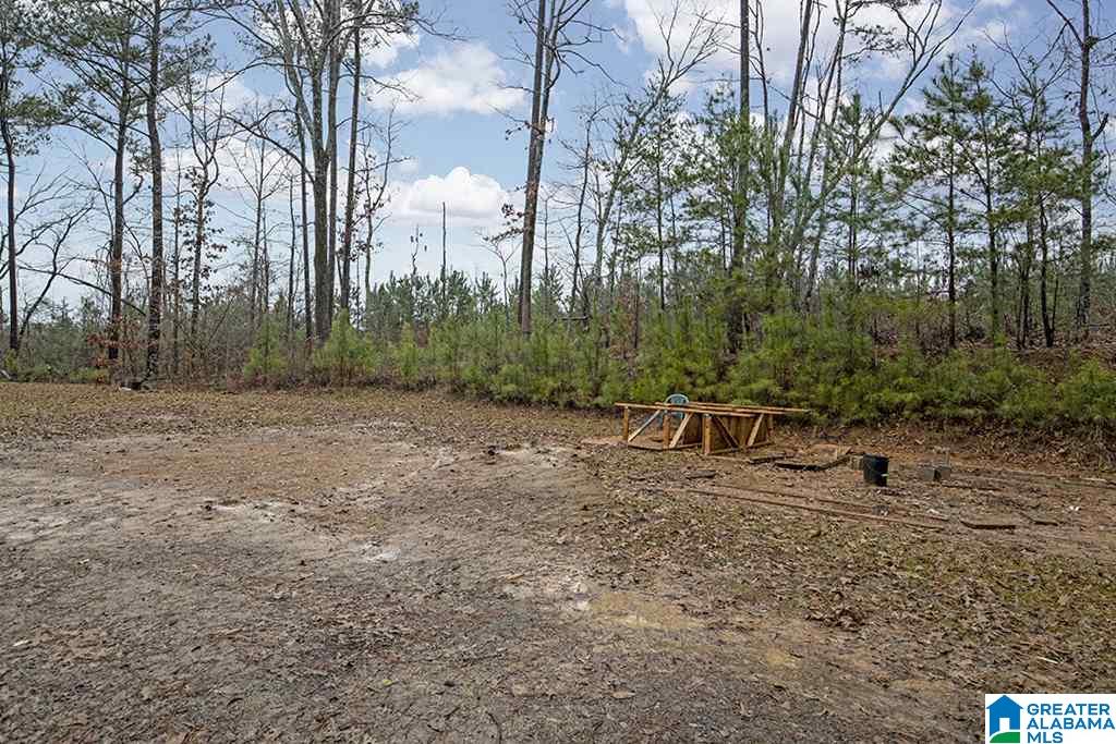 9316 Cedar Hill Road Warrior, AL 35180 - Photo 3 of 27