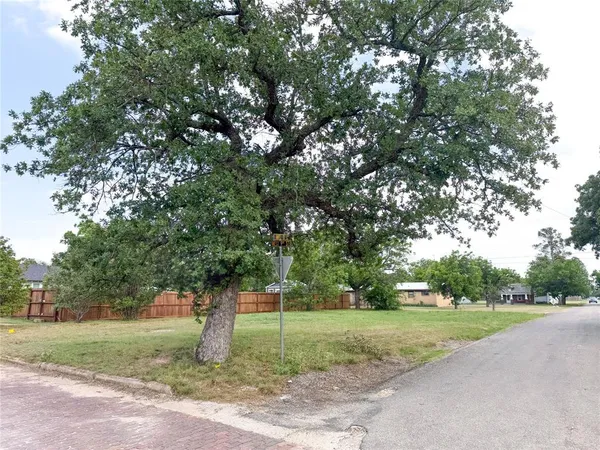 a park view with large trees