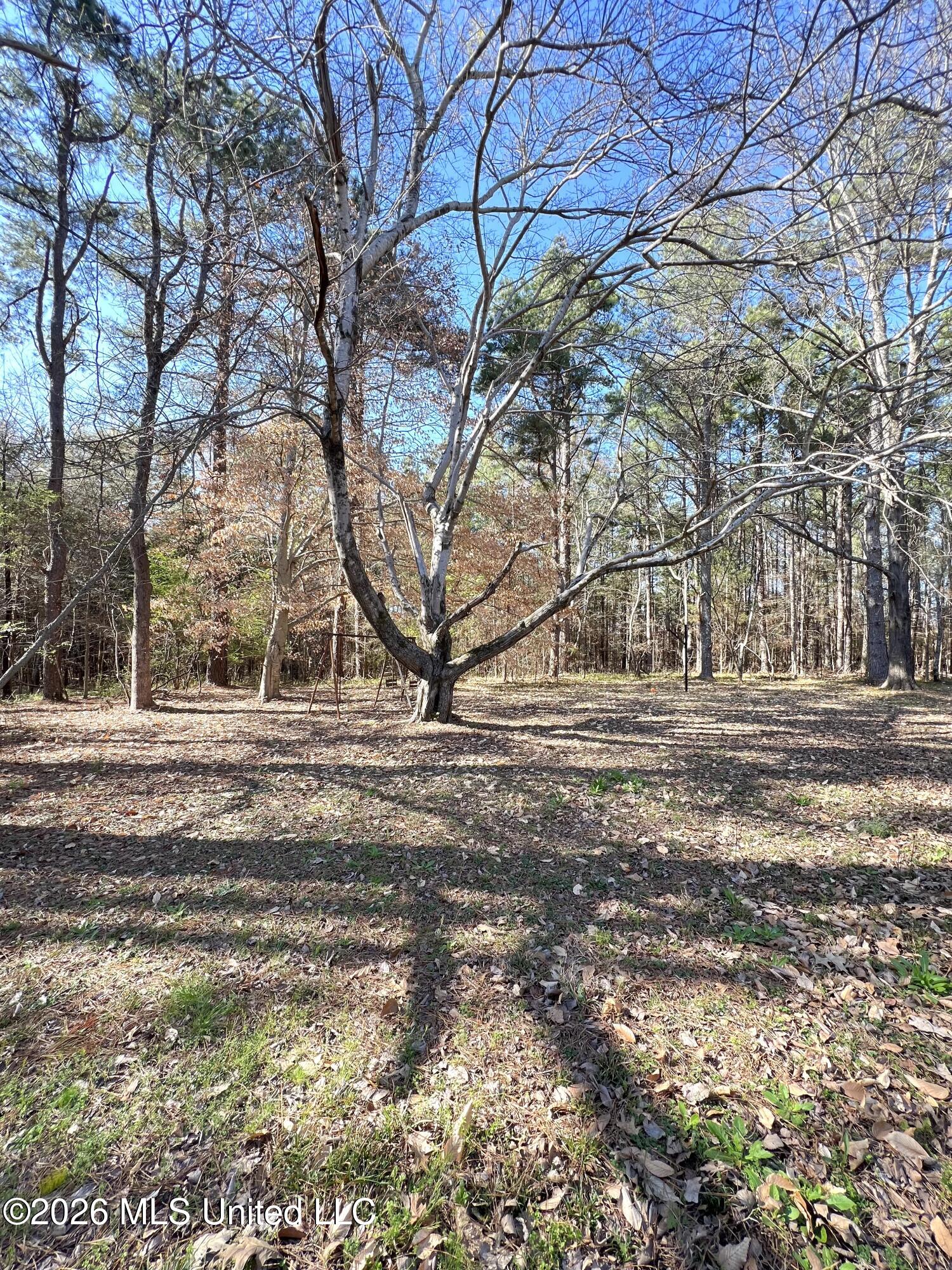 344 Wildcat Bottom Road Red Banks, MS 38661 - Photo 21 of 24 IMG_8344