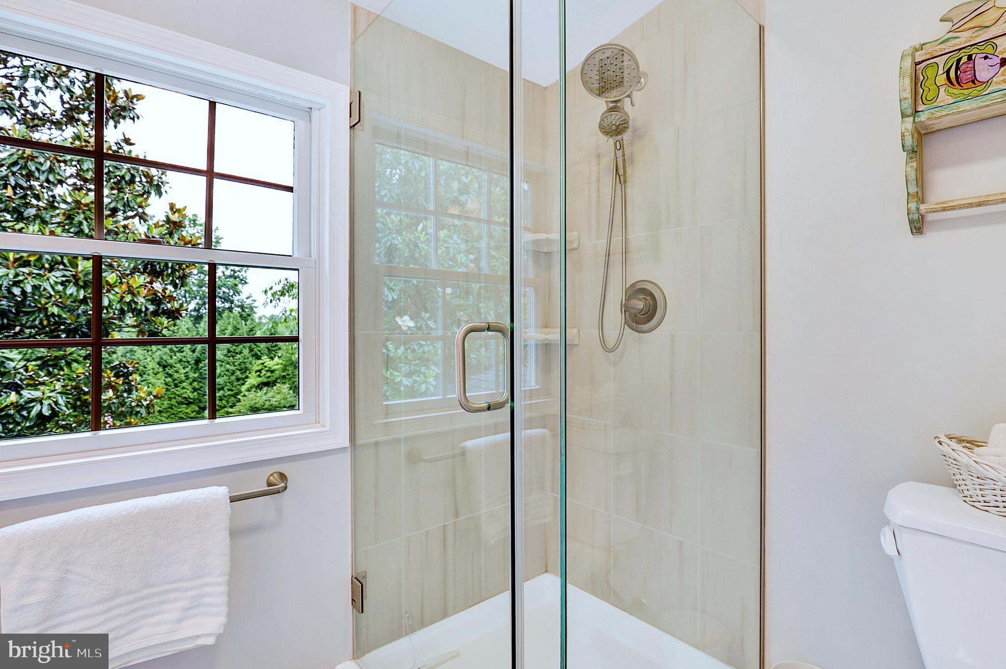 13713 Harcum Road Phoenix, MD 21131 - Photo 47 of 101 a bathroom with a shower and a toilet