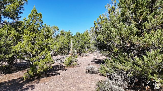 123 Tbd Prout Wash Road North Cedar City, UT 84721 - Photo 60 of 82