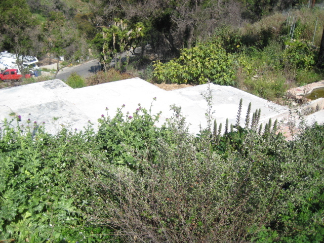 327 Conejo Road Santa Barbara, CA 93103 - Photo 3 of 4 View from street
