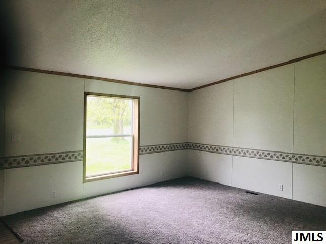 1077 Cady Cady Road Union City, MI 49094 - Photo 8 of 14 Photo 8