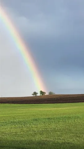 $349,000 | 23000 Larsen Road, Hamel, MN 55340