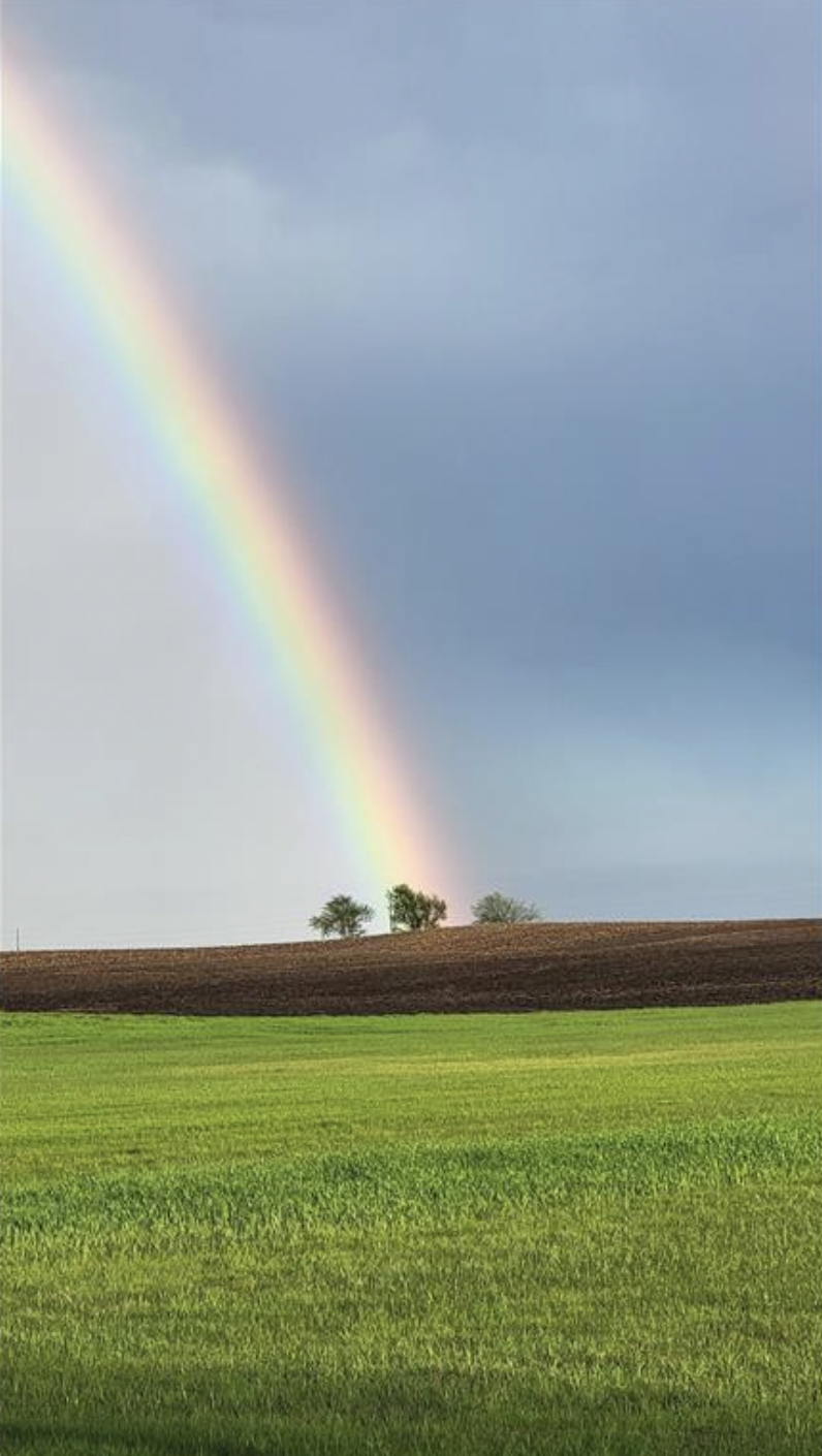 23000 Larsen Road Hamel, MN 55340 - Photo 13 of 17