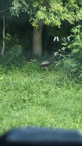 $349,000 | 23000 Larsen Road, Hamel, MN 55340