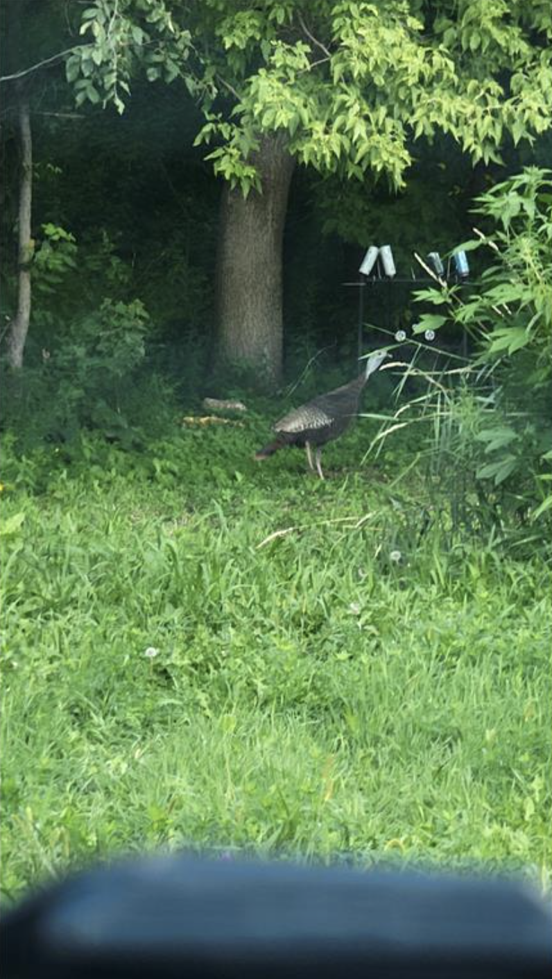 23000 Larsen Road Hamel, MN 55340 - Photo 14 of 17