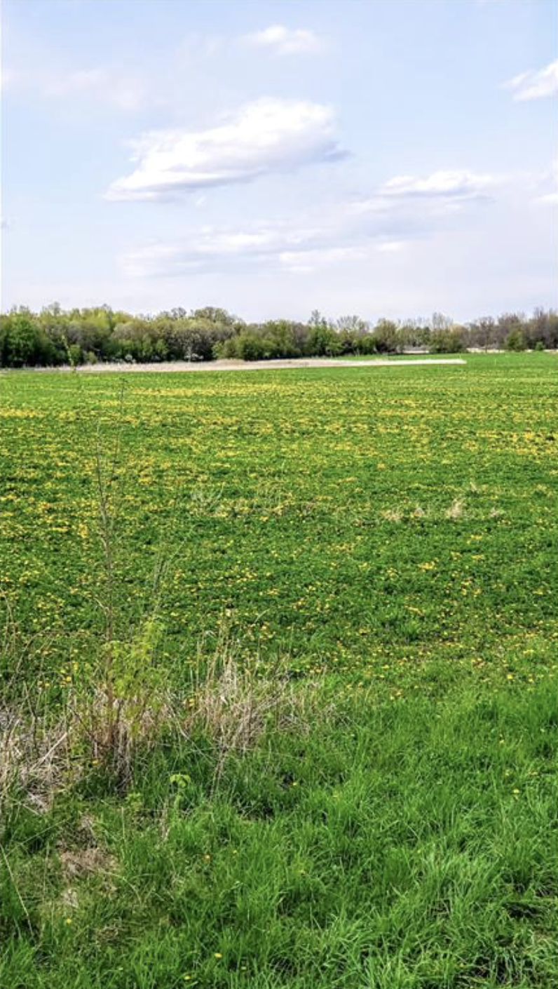 23000 Larsen Road Hamel, MN 55340 - Photo 15 of 17