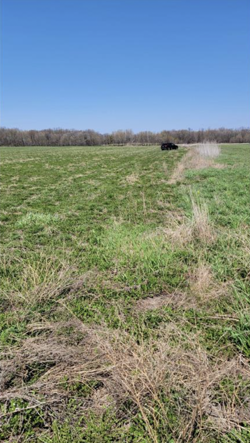 23000 Larsen Road Hamel, MN 55340 - Photo 16 of 17