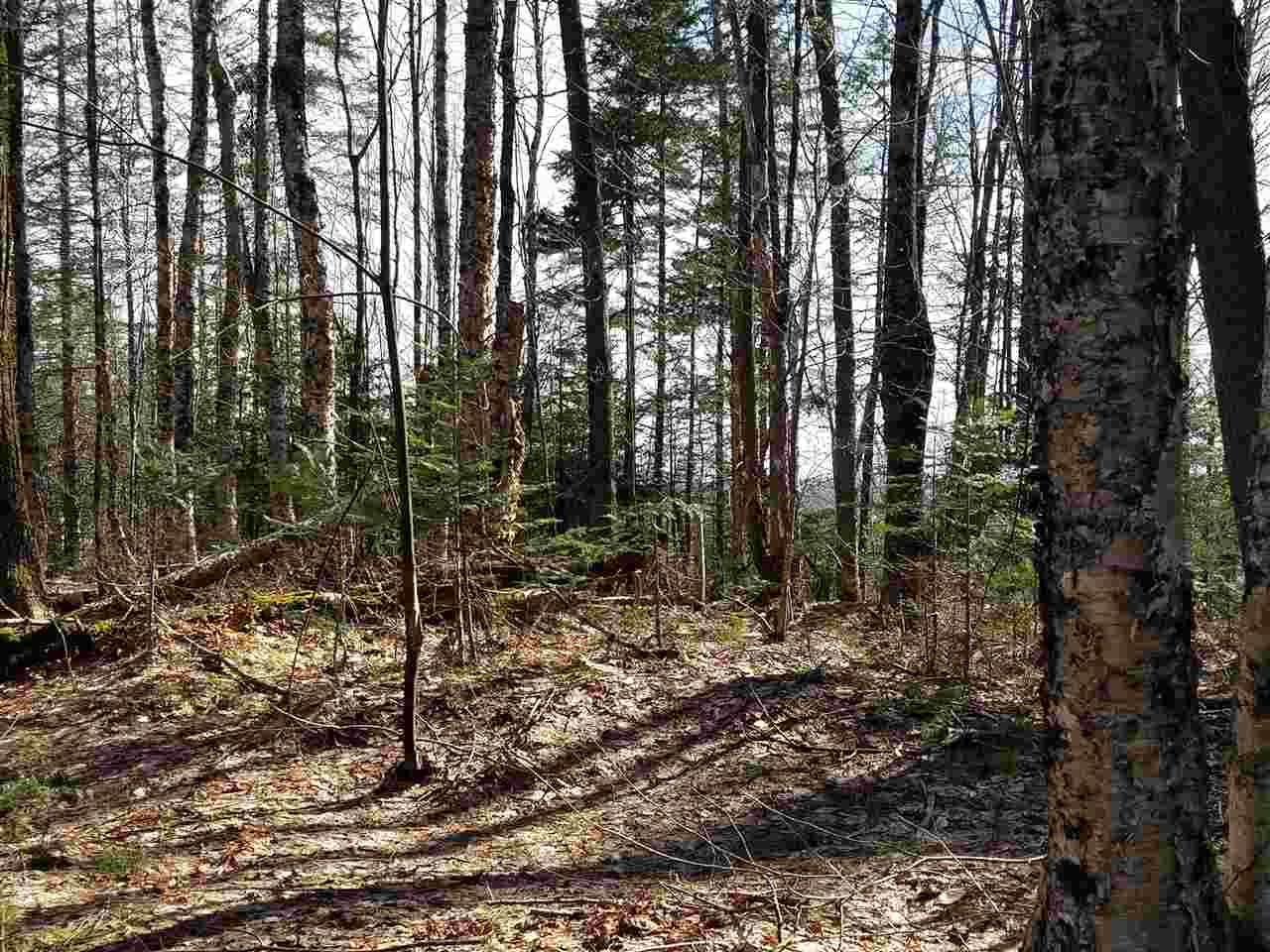1 Old Farm Road Burke, VT 05871 - Photo 11 of 13 Gallery Image 11