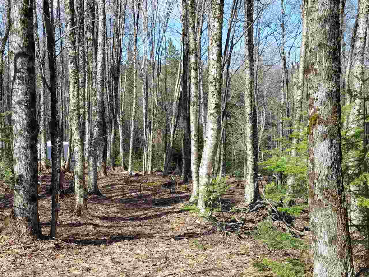 1 Old Farm Road Burke, VT 05871 - Photo 12 of 13 Gallery Image 12