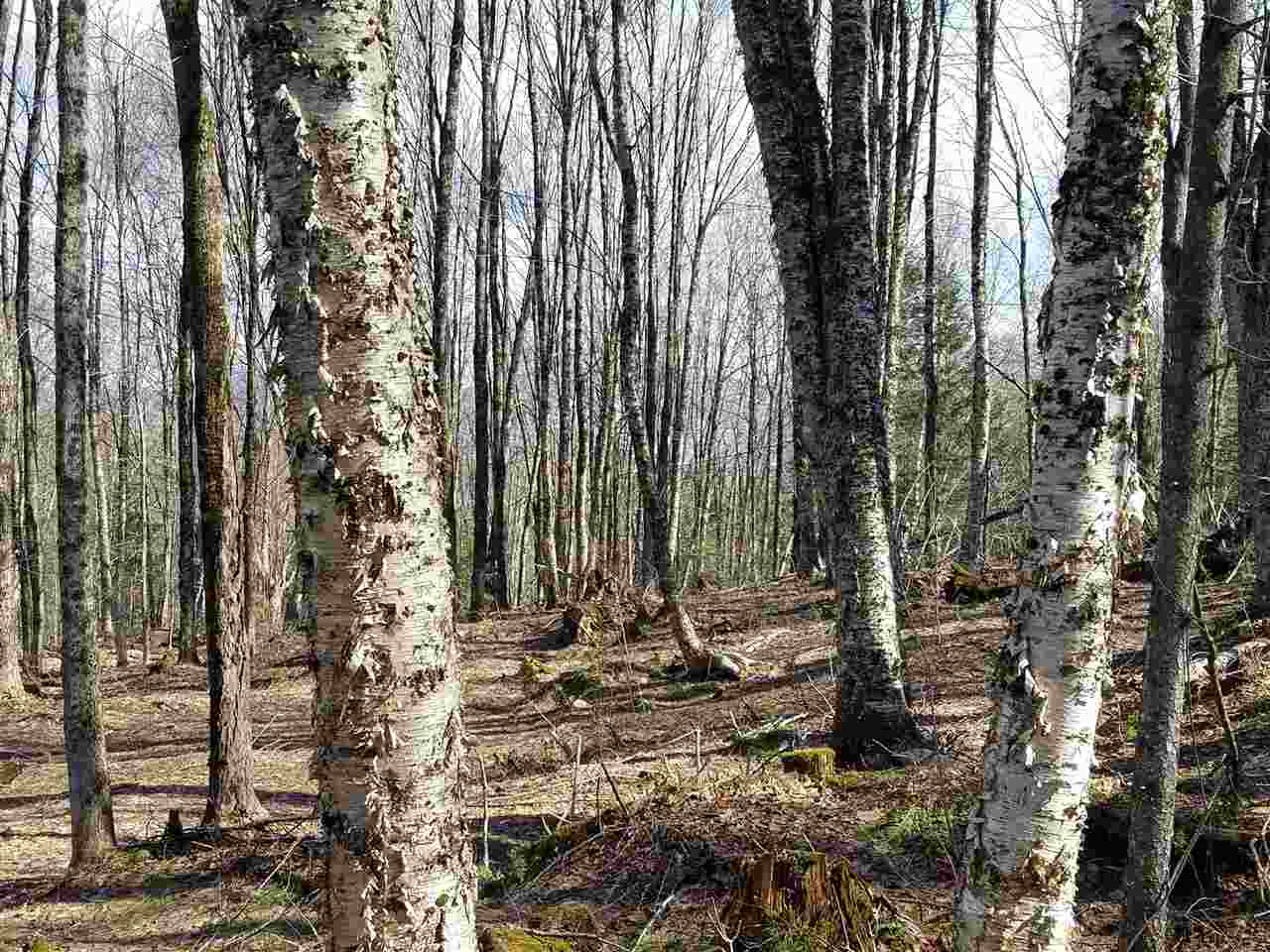 1 Old Farm Road Burke, VT 05871 - Photo 10 of 13 Gallery Image 10