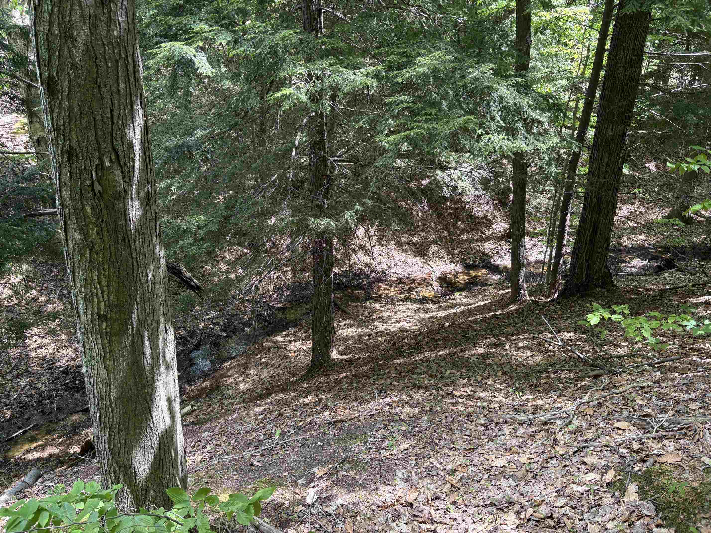 13631 Beaver Pond Road Empire, MI 49630 - Photo 22 of 55
