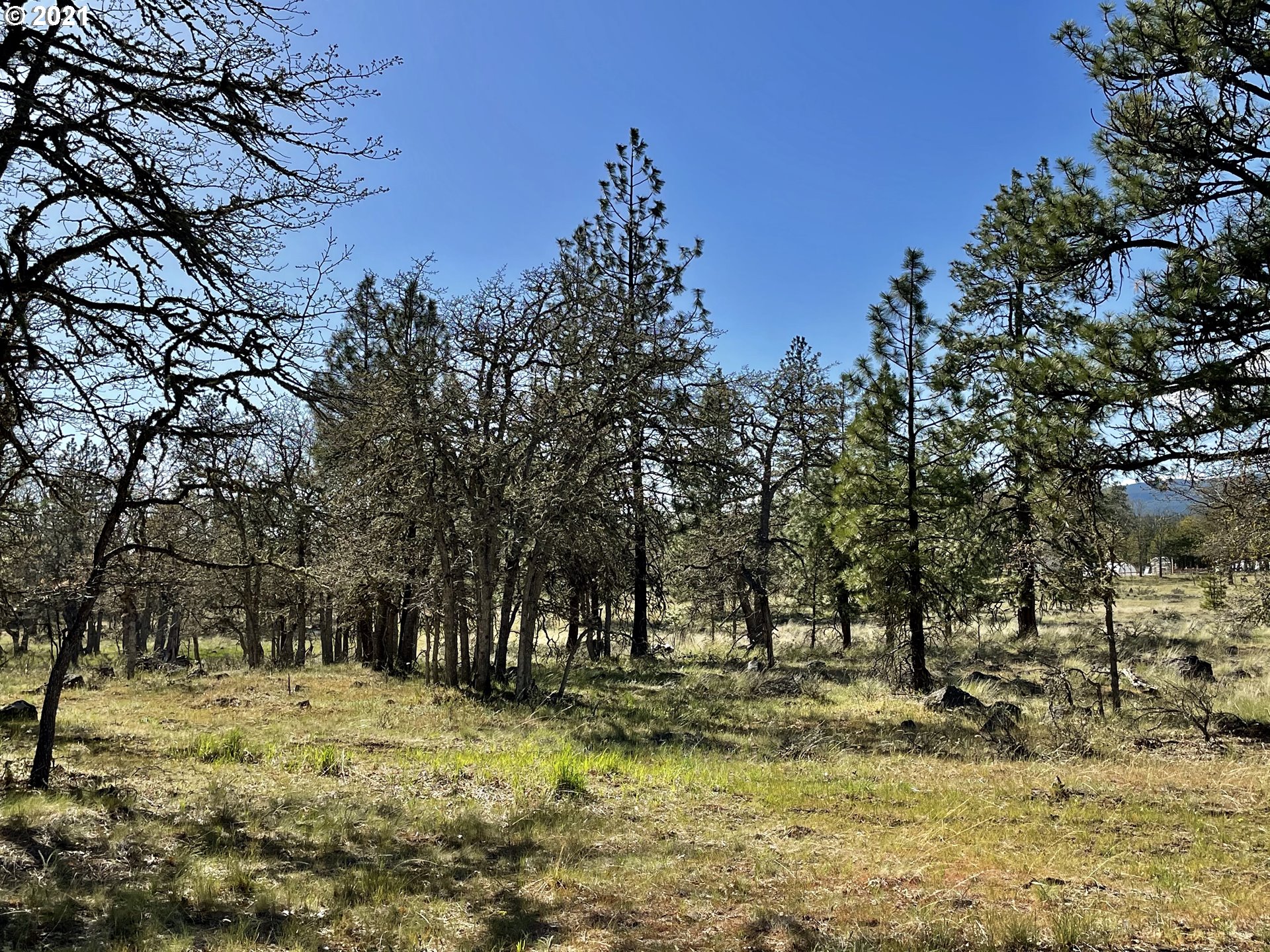 276 Old Stage Road Goldendale, WA 98620 - Photo 23 of 32 Gallery Image 23