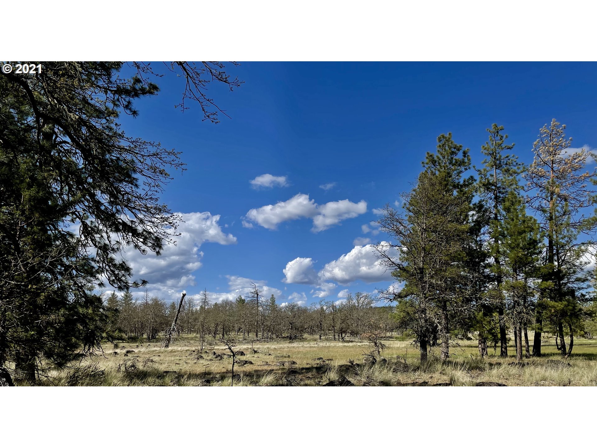 276 Old Stage Road Goldendale, WA 98620 - Photo 24 of 32 Gallery Image 24