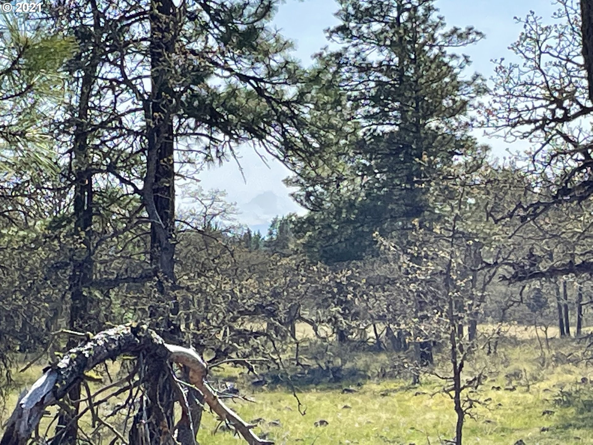 276 Old Stage Road Goldendale, WA 98620 - Photo 26 of 32 Gallery Image 26