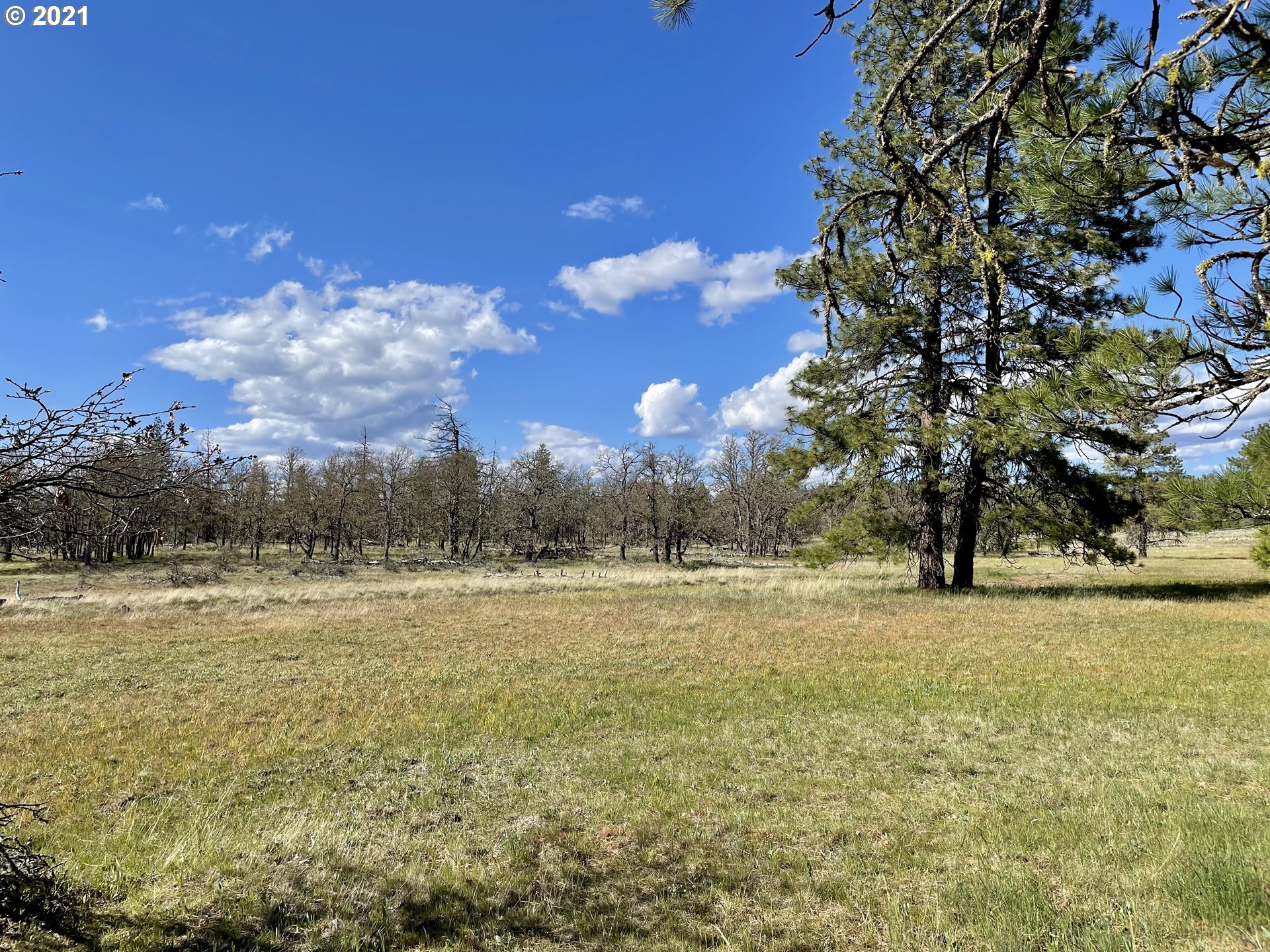 276 Old Stage Road Goldendale, WA 98620 - Photo 29 of 32 Gallery Image 29