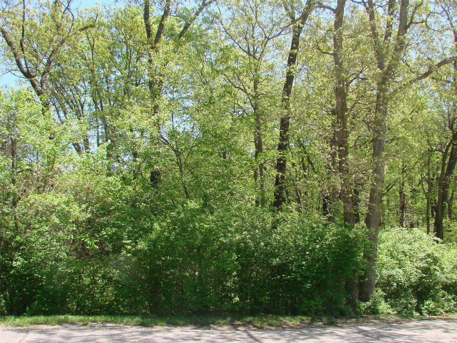 1136 Forest Ridge Trail Lane Ballwin, MO 63021 - Photo 3 of 5 Gallery Image 3