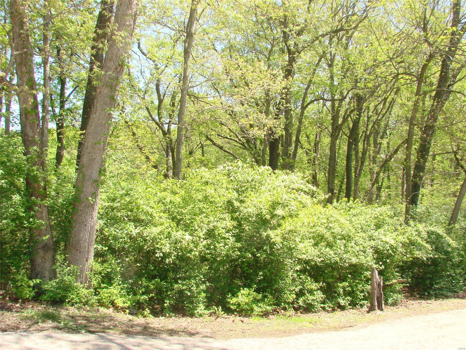 1136 Forest Ridge Trail Lane Ballwin, MO 63021 - Photo 4 of 5 Gallery Image 4