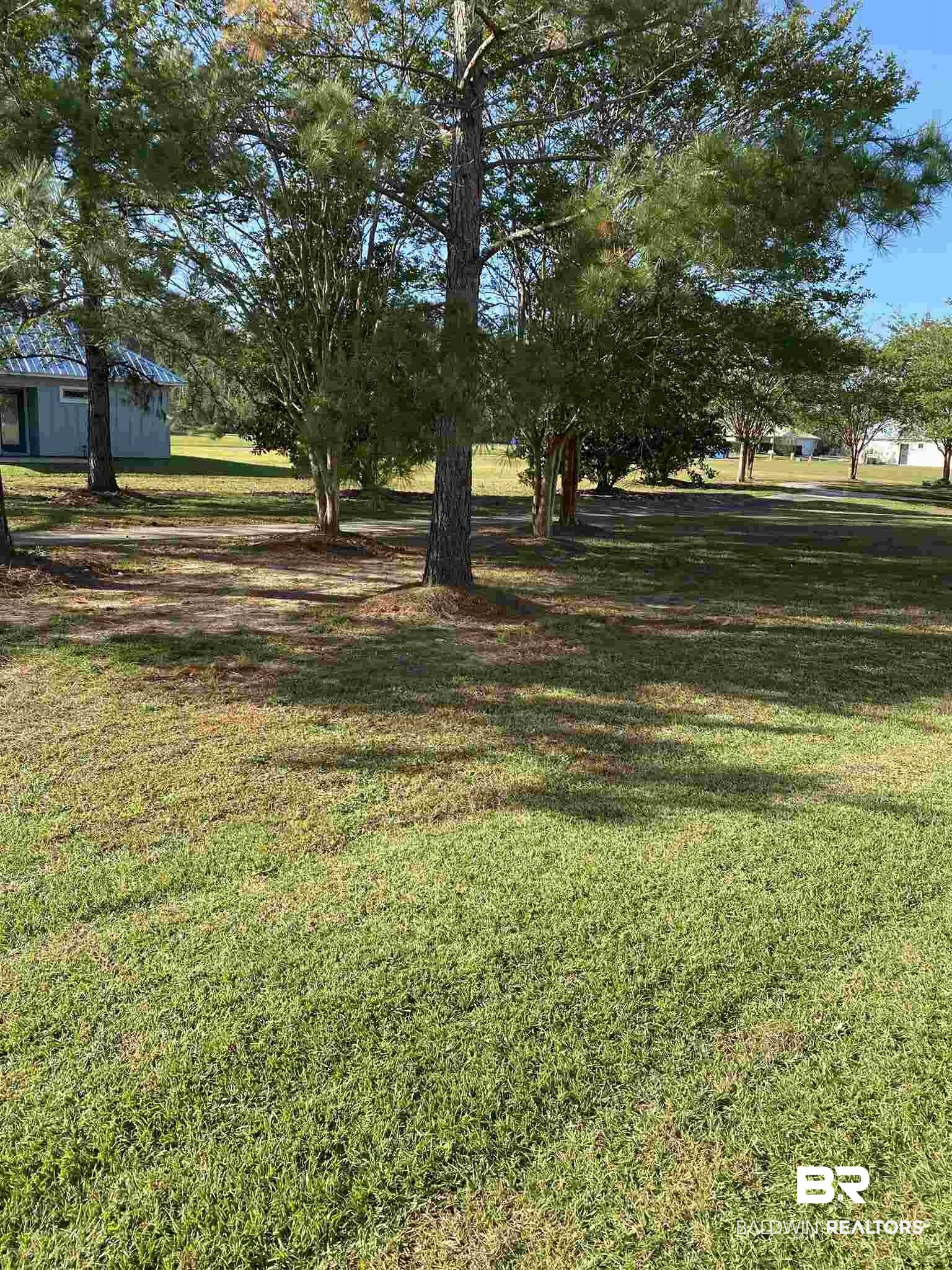 8160 Carmel Circle Foley, AL 36535 - Photo 11 of 11 View from back patio