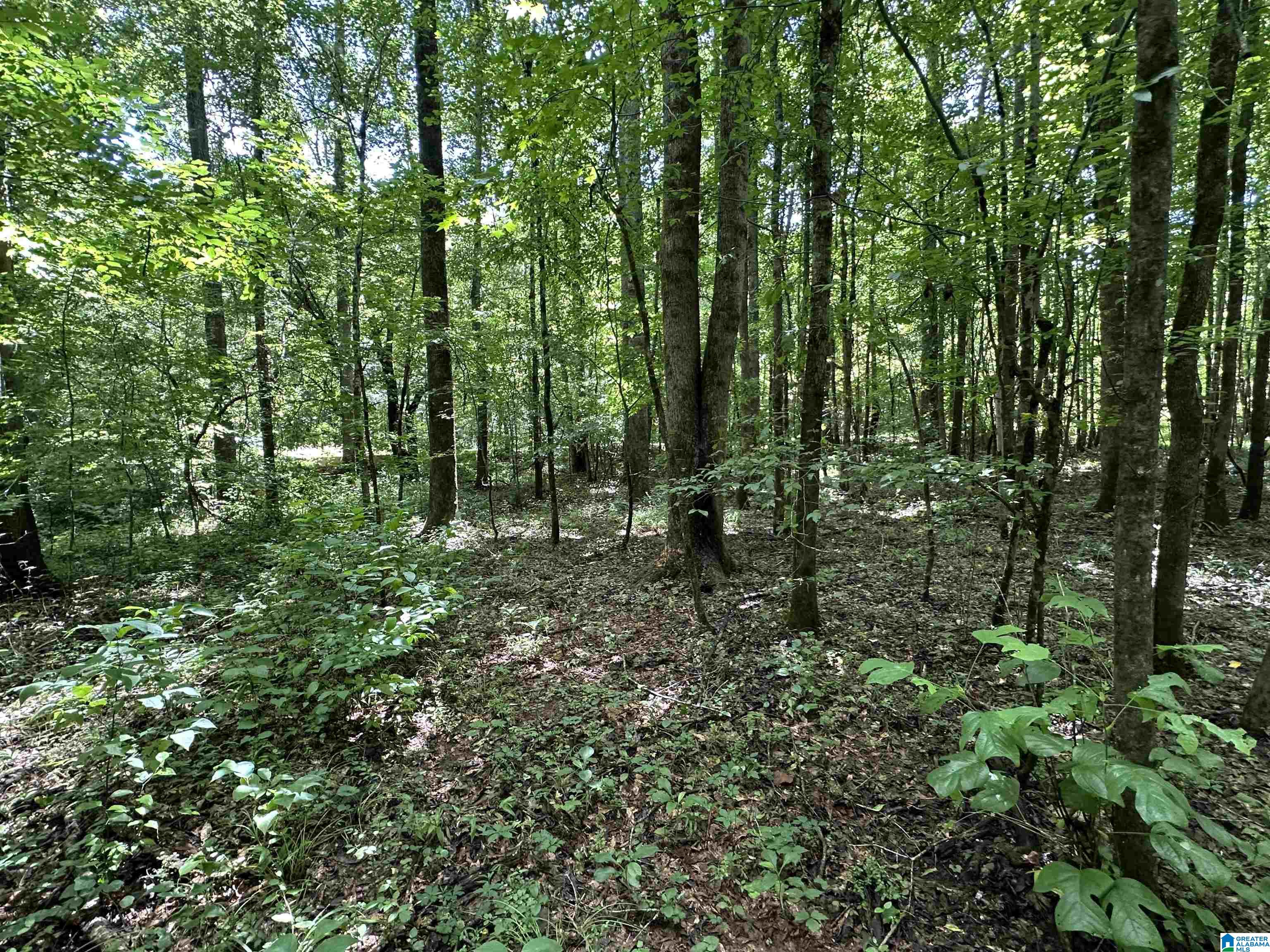 246 County Road, Unit 91 Five Points, AL 36855 - Photo 5 of 8