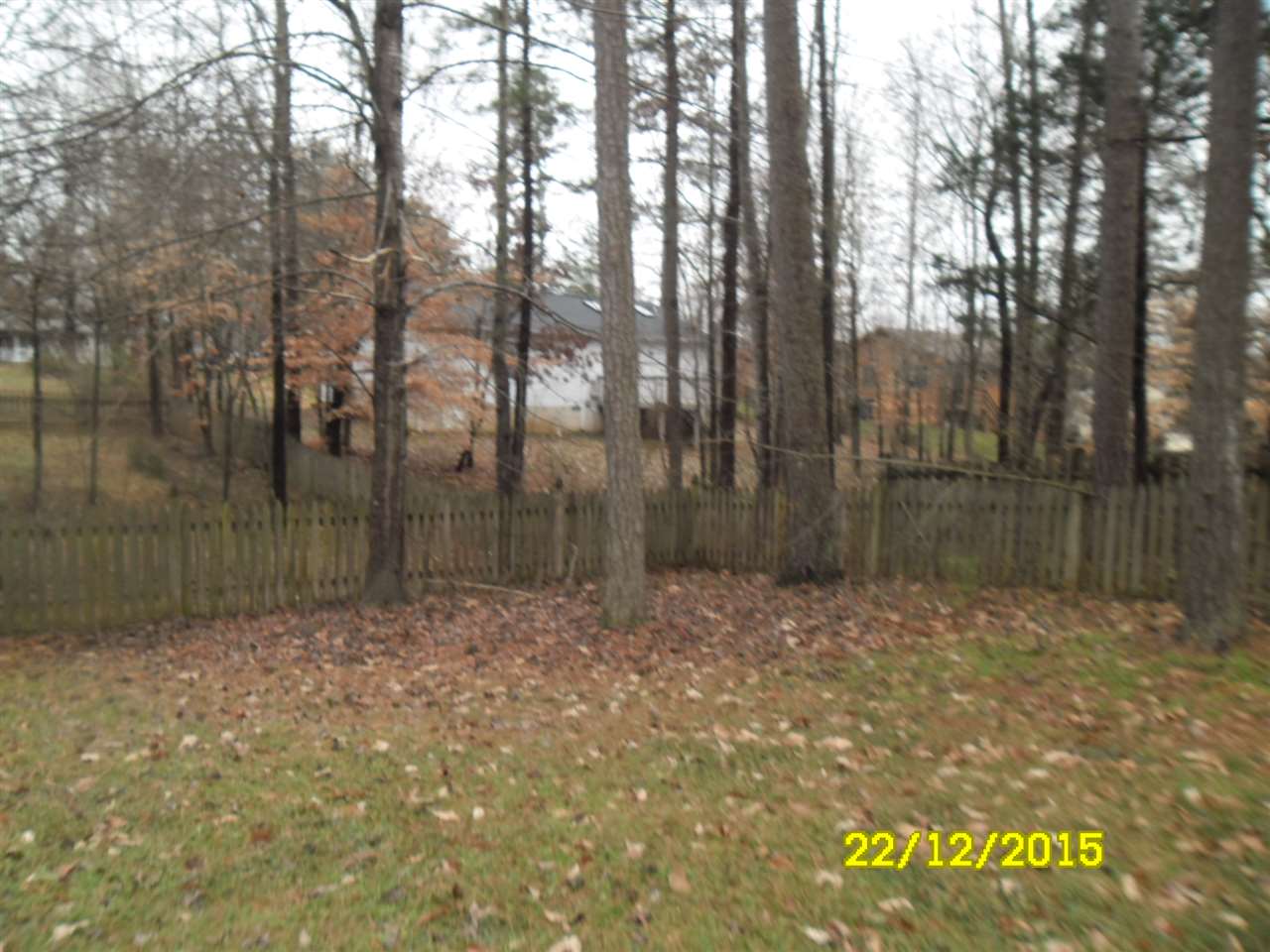 35 Begum Road Palmyra, VA 22963 - Photo 17 of 28 a view of backyard with green space