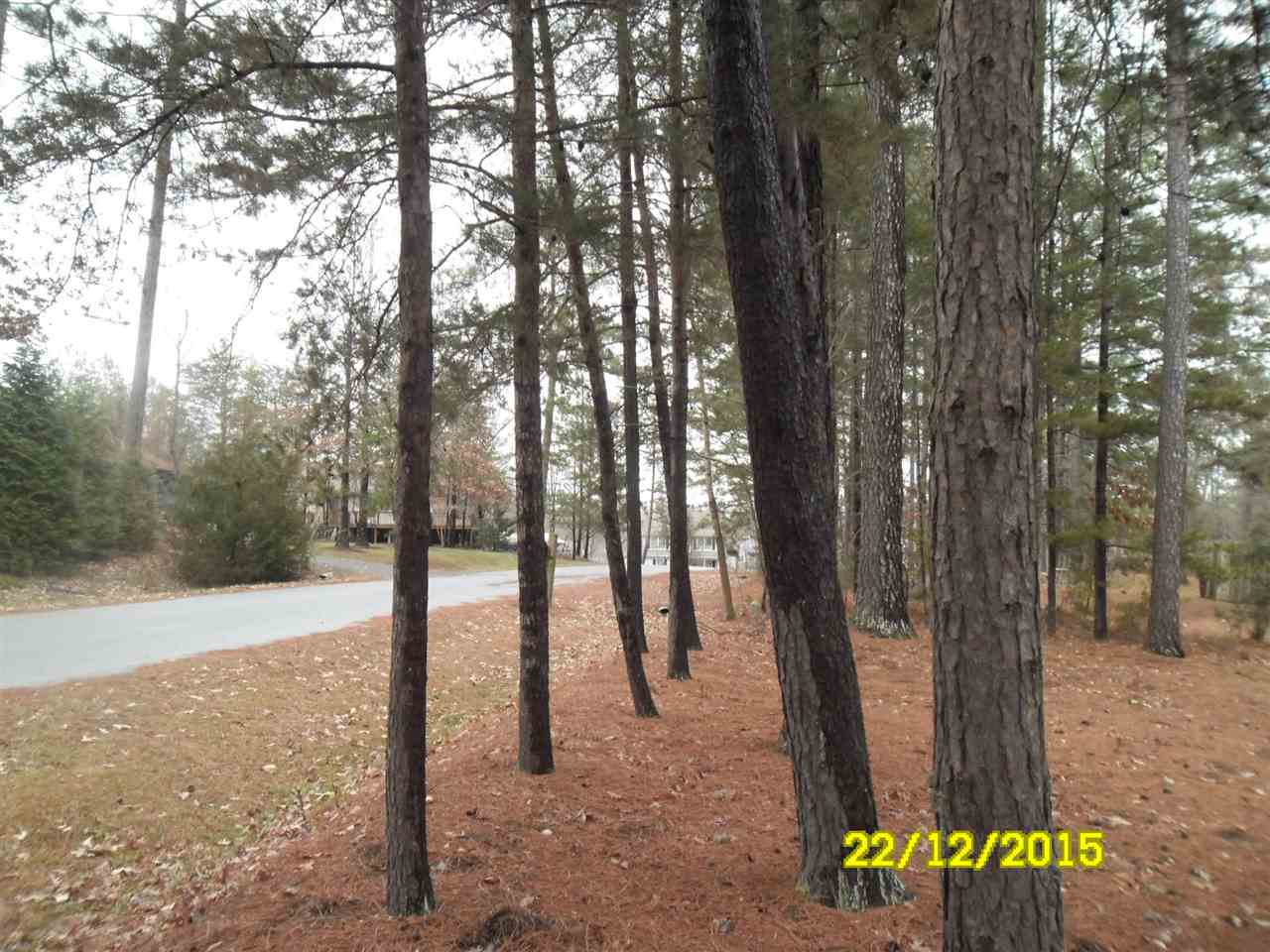 35 Begum Road Palmyra, VA 22963 - Photo 23 of 28 a view of a forest