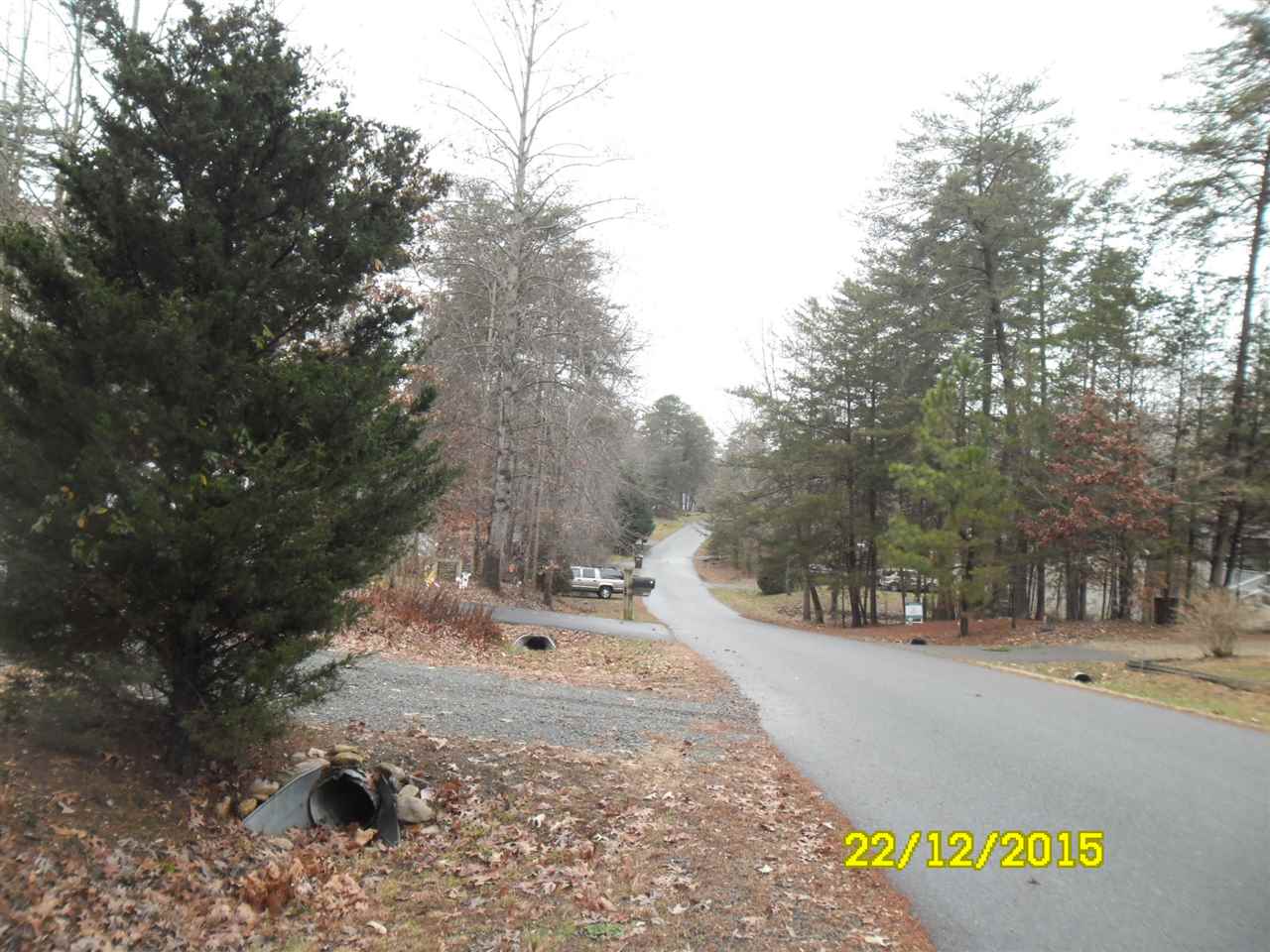 35 Begum Road Palmyra, VA 22963 - Photo 24 of 28 a view of road with large trees