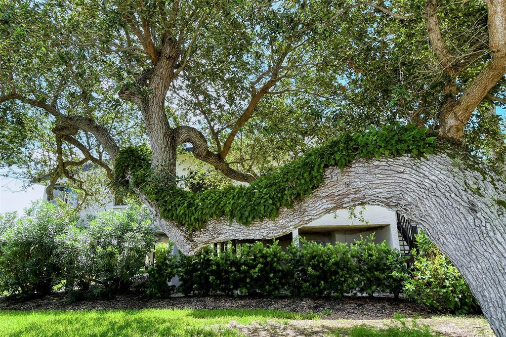 6267 Midnight Pass Road, Unit 306 Sarasota, FL 34242 - Photo 54 of 89