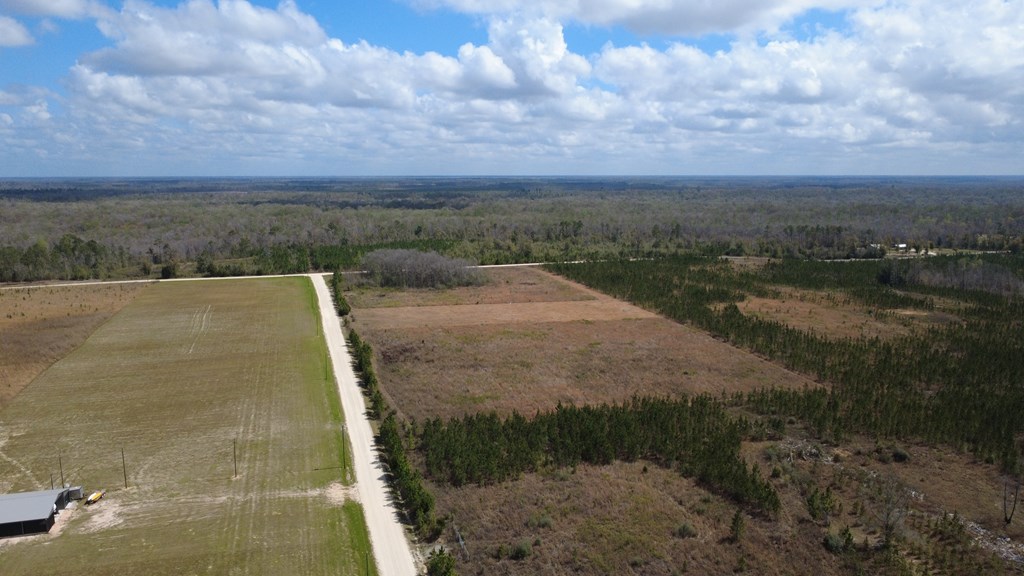 40 Davis Peacock Road Wewahitchka, FL 32449 - Photo 17 of 22