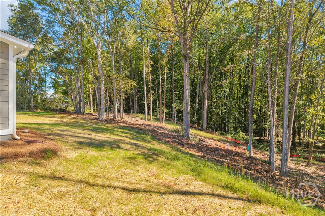 600 Hospital Road, Unit LOT 3 Commerce, GA 30529 - Photo 61 of 65 Gallery Image 61