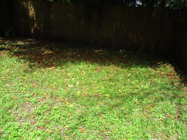 a view of small yard