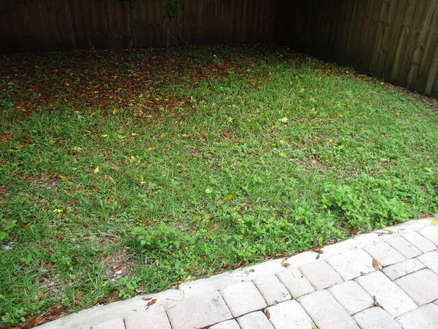 a view of a backyard with wooden fence