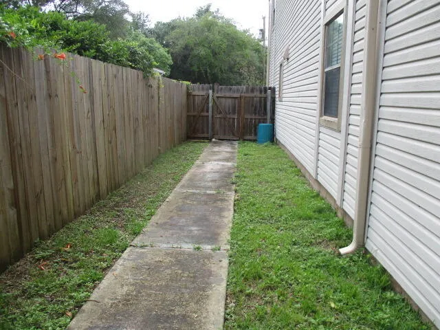 a plant is in front of a house