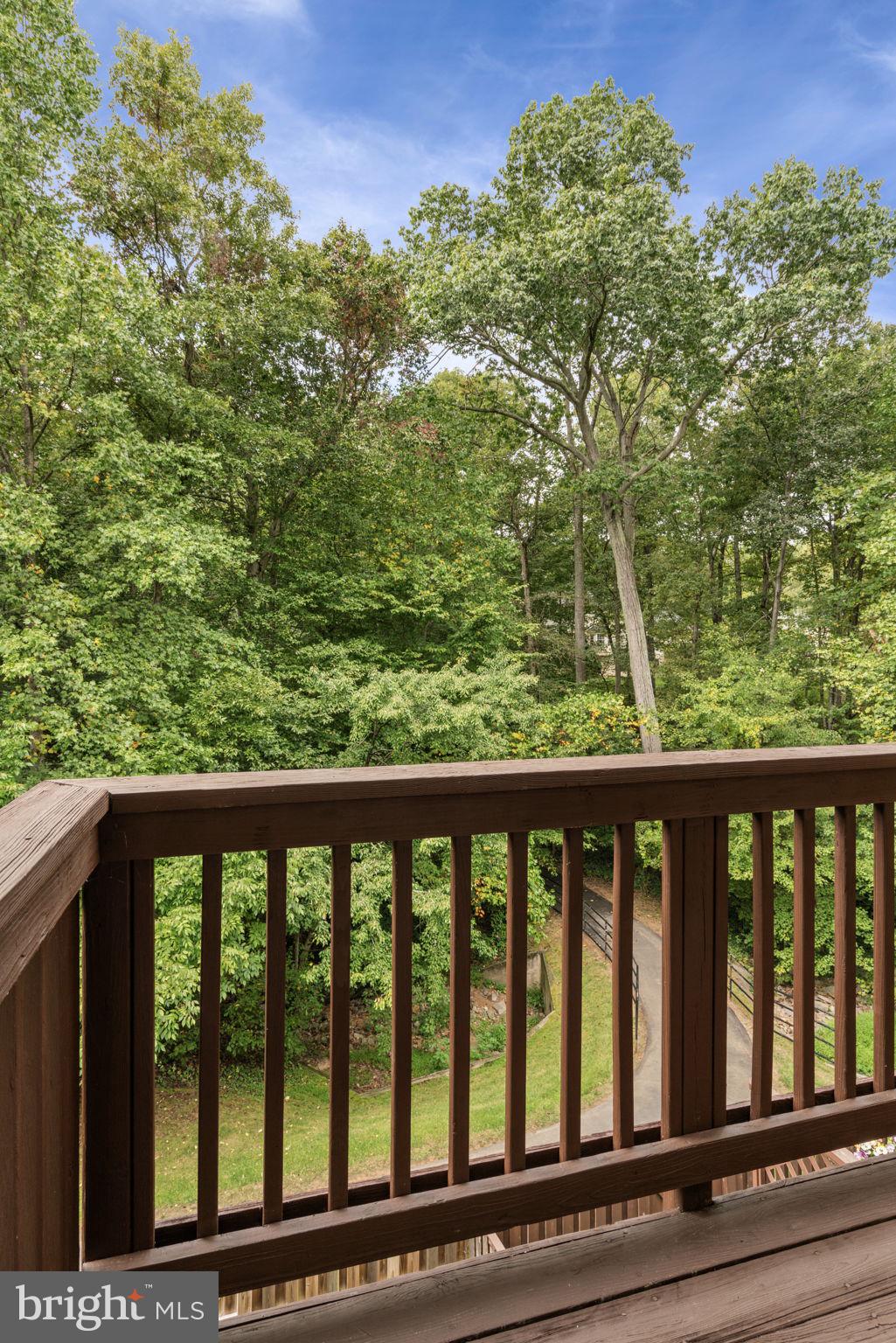9103 Golden Sunset Lane Springfield, VA 22153 - Photo 17 of 46 Woods fill your Windows for privacy