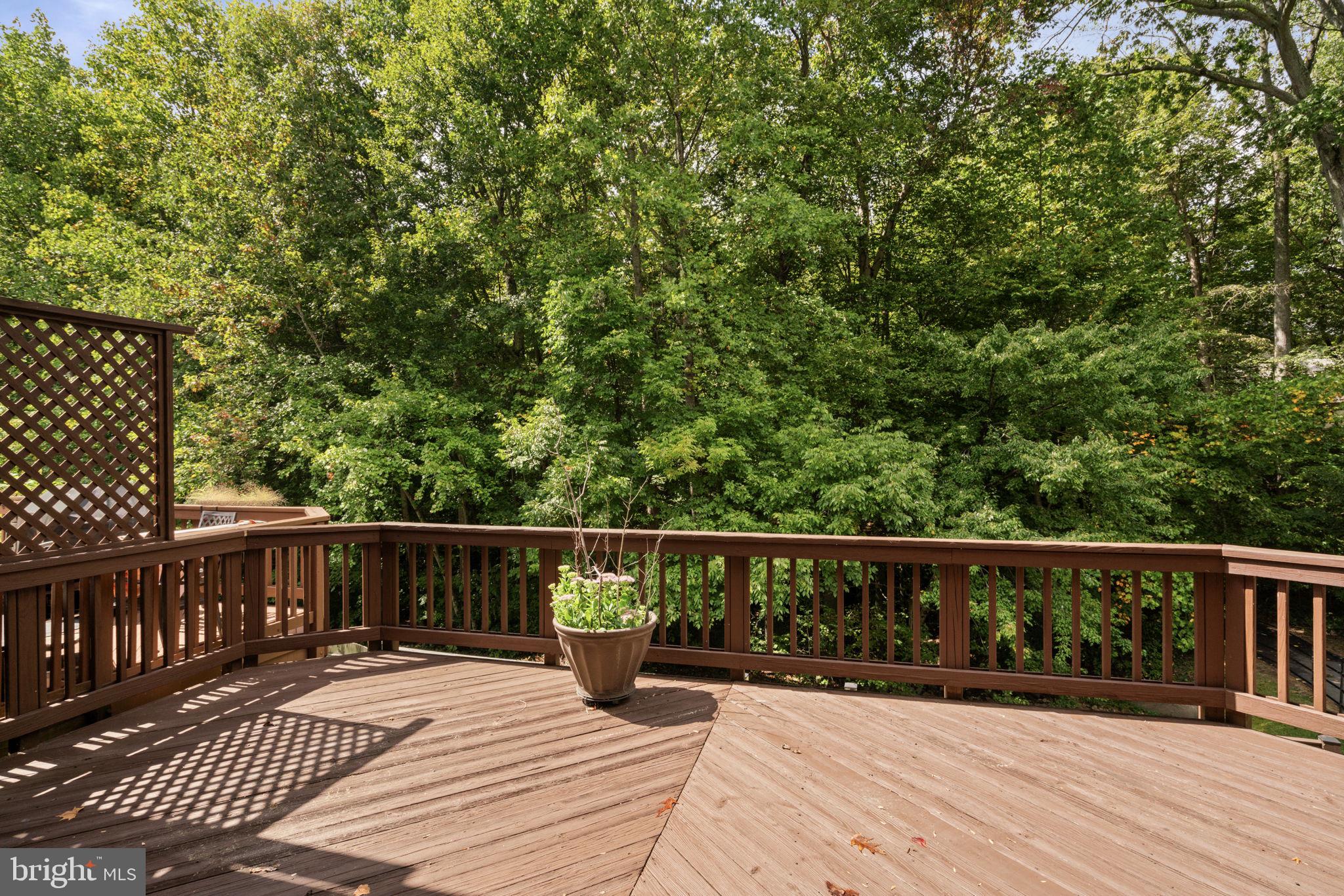 9103 Golden Sunset Lane Springfield, VA 22153 - Photo 19 of 46 Gallery Image 19