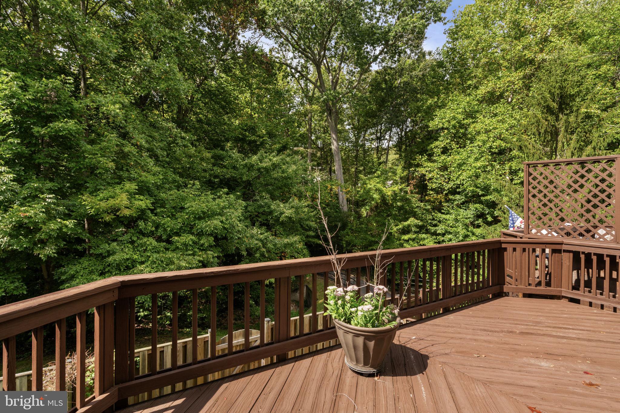 9103 Golden Sunset Lane Springfield, VA 22153 - Photo 20 of 46 Gallery Image 20