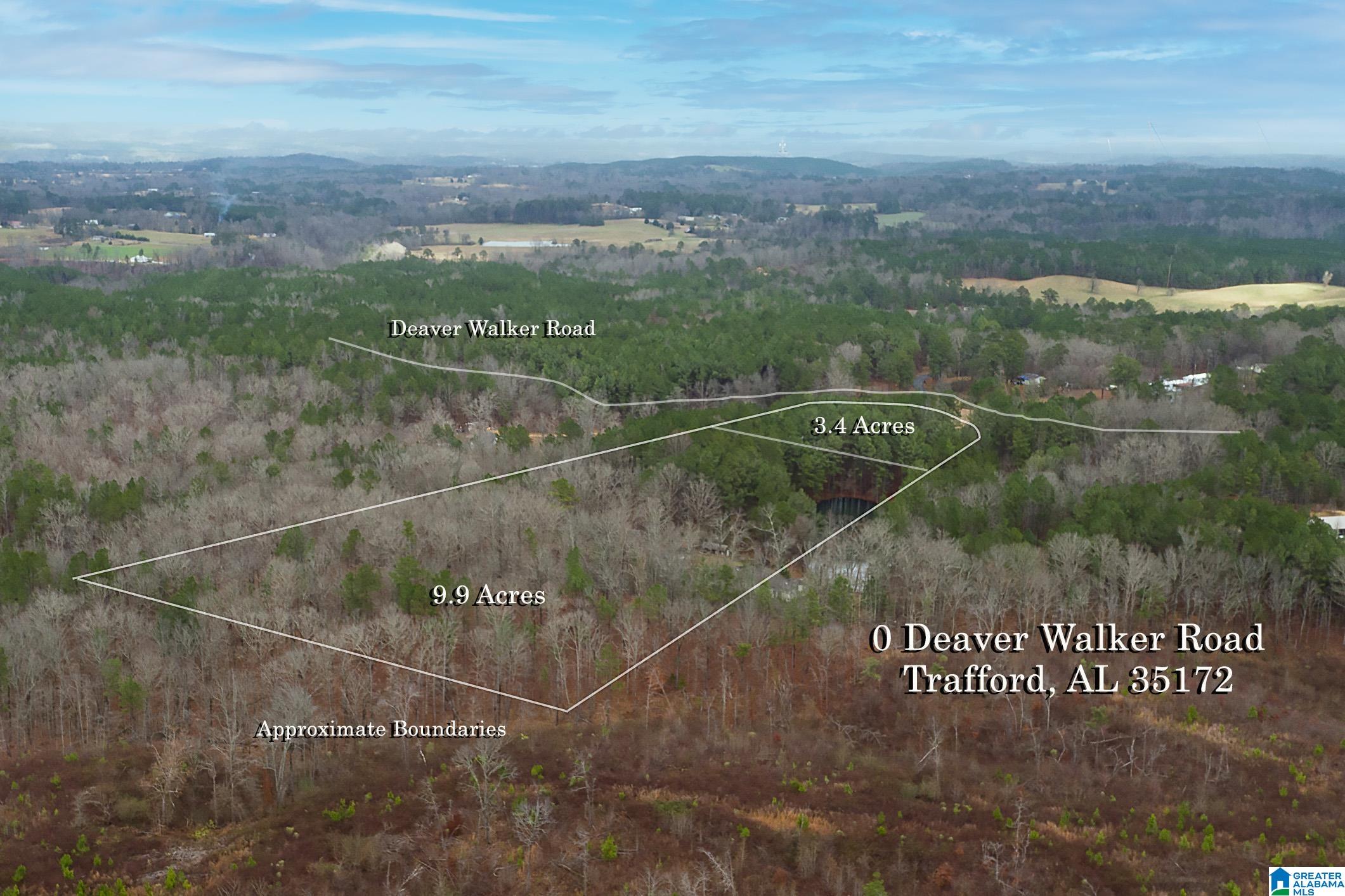 0 Deaver Walker Road Trafford, AL 35172 - Photo 7 of 28