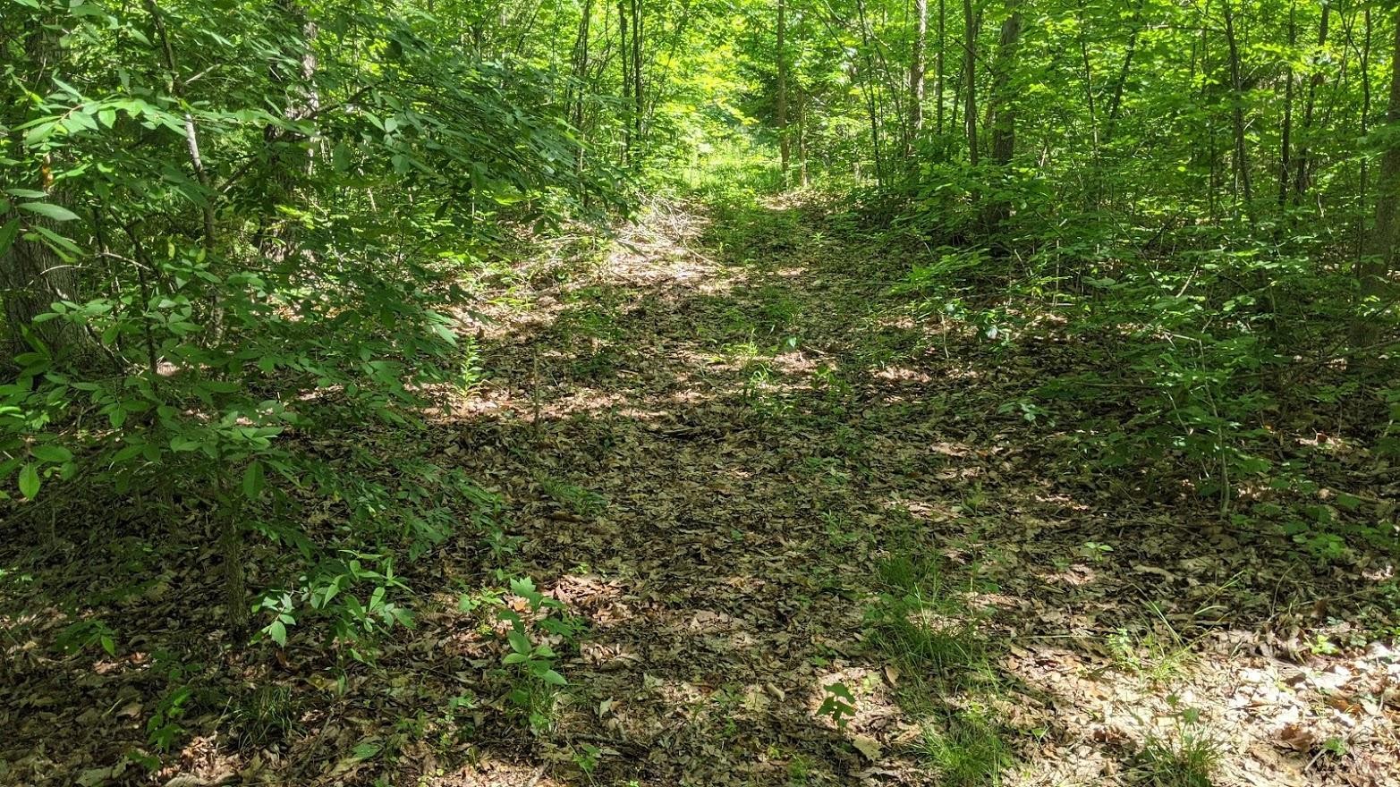 0 Rock Vw Road Pall Mall, TN 38577 - Photo 6 of 12