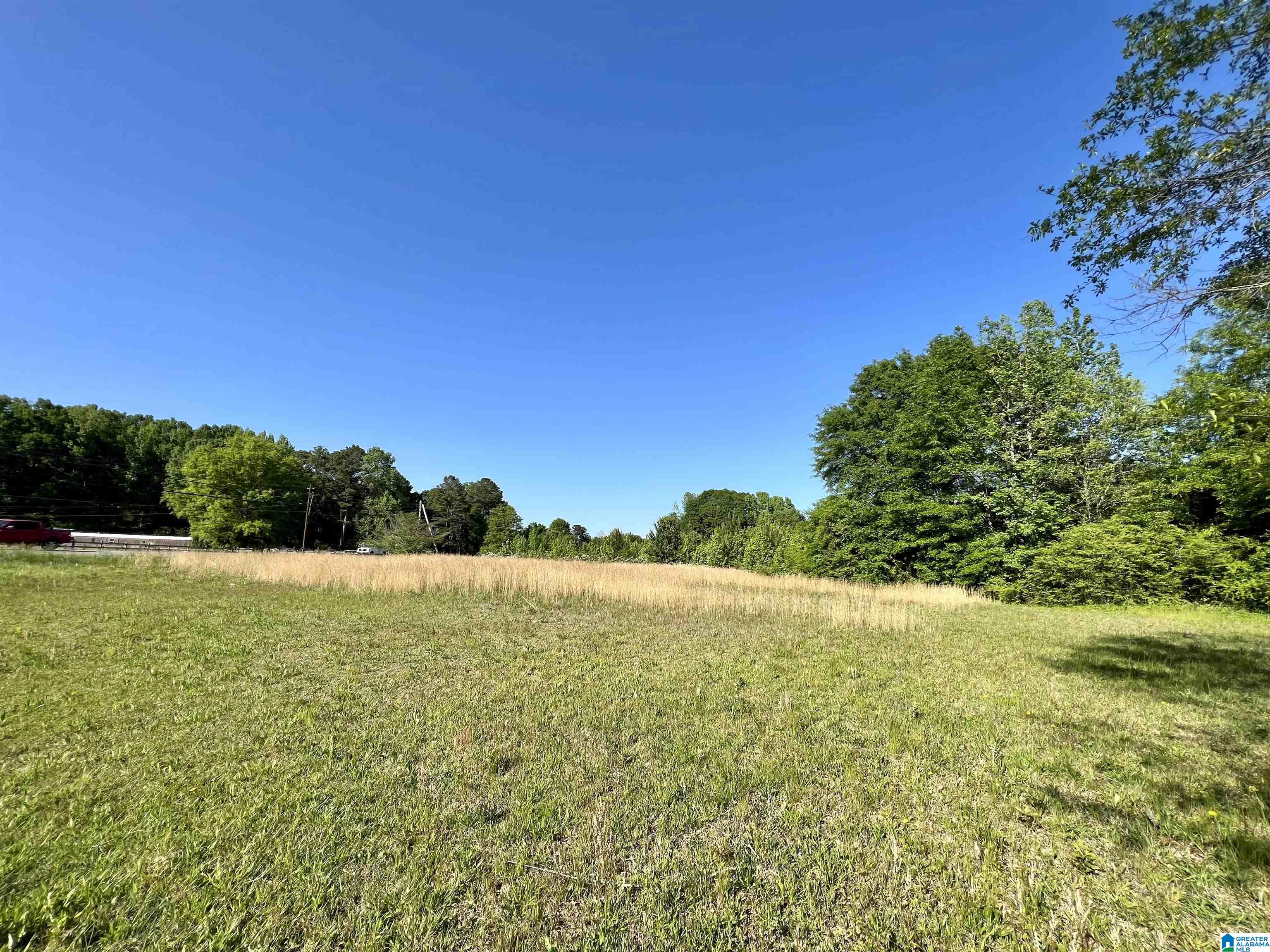 470 Crocker Road, Unit 1 Odenville, AL 35120 - Photo 4 of 13