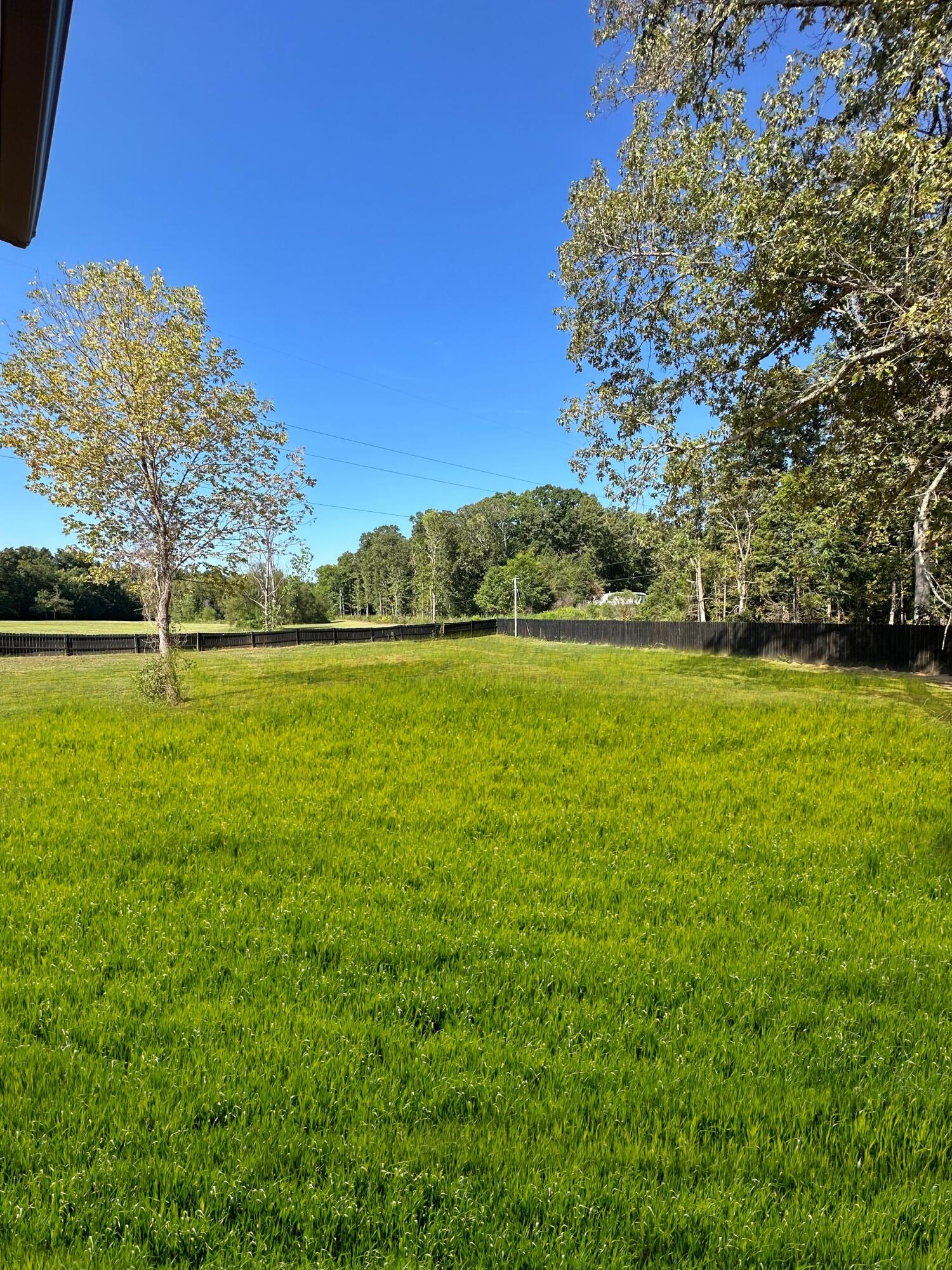 860 Eads Creek Road Belden, MS 38826 - Photo 23 of 26 Gallery Image 23