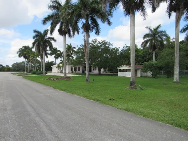 a view of a park with palm trees