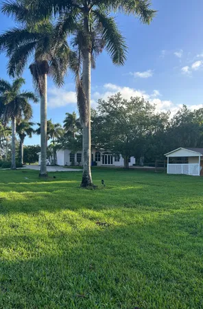 a view of a garden with a tree
