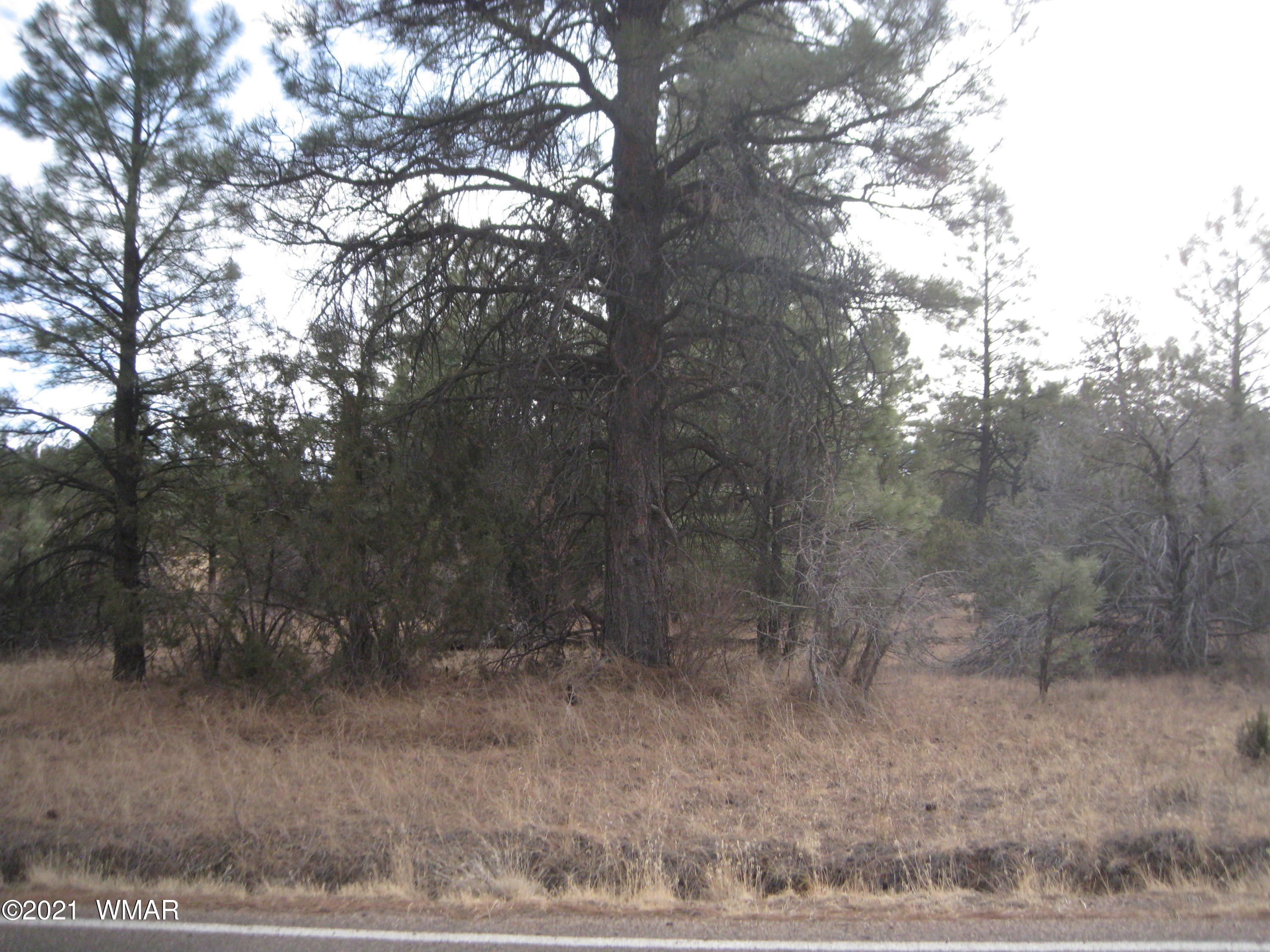 2873 Rockledge Road Heber, AZ 85928 - Photo 2 of 6